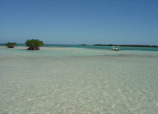 Cuba Bonefish Flats